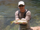 Fly Fishing in Arizona