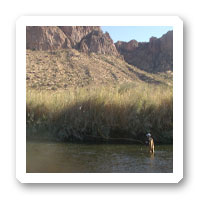 The Hook Up Fly Fishing Clinic