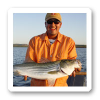 Arizona Bass and Striper on the Fly Fishing