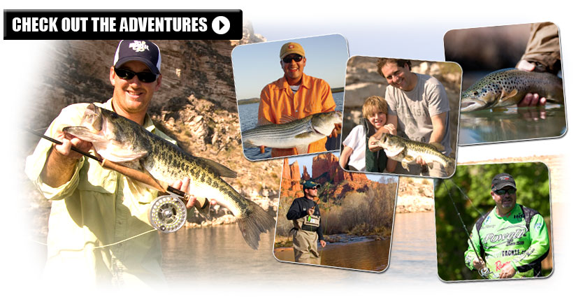 Arizona's Premier fishingArizona Fishing: Guides For Bass And Trout - The Hook  Up Outfitters