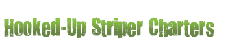 title-striper-charter