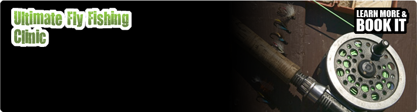Slide background